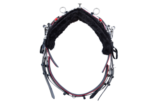 product-images saddlery-and-harnesses back-saddles back-saddle-black-red-1