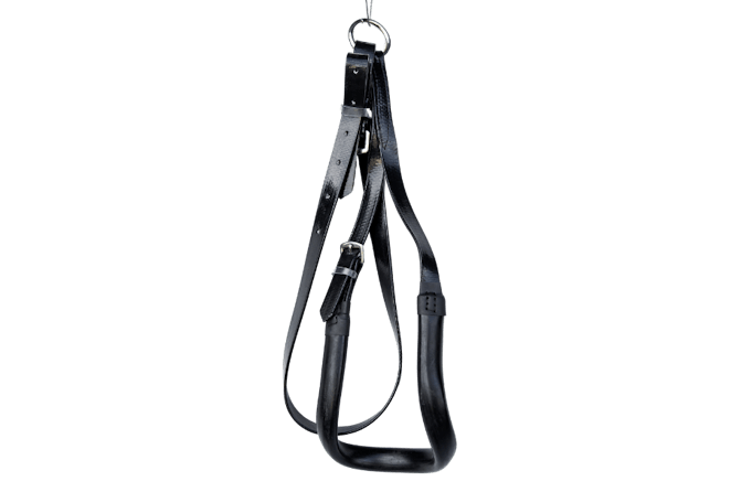 Saddlery & harnesses