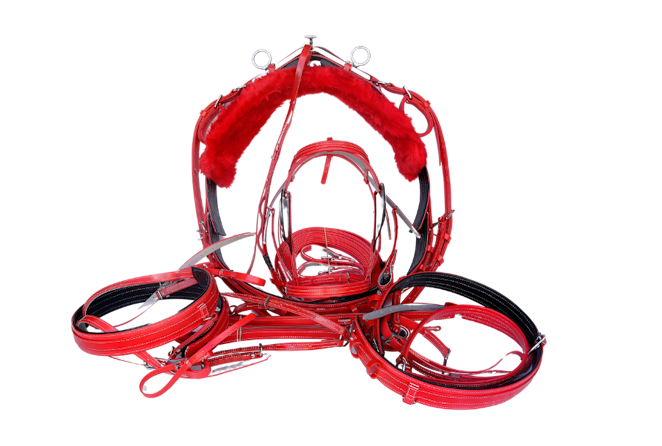 product-images saddlery-and-harnesses driving-harness driving-harness-red-1