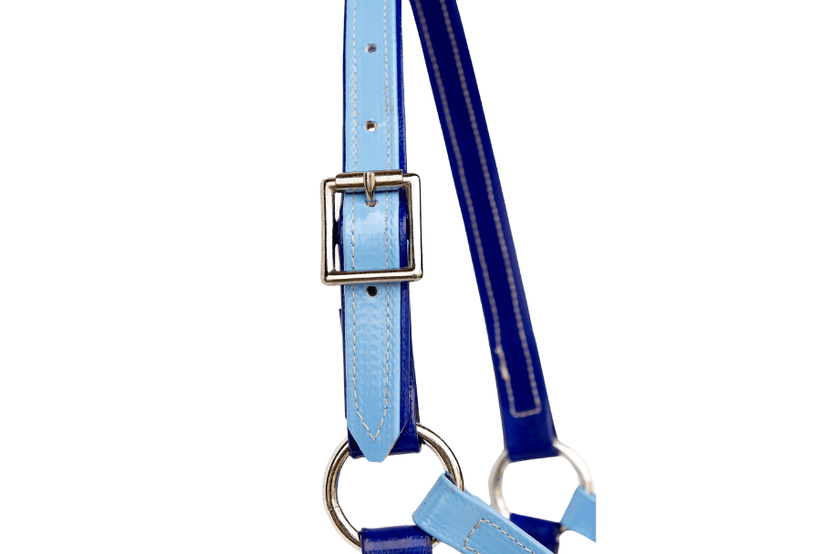 product-images saddlery-and-harnesses head-stalls head-stall-10