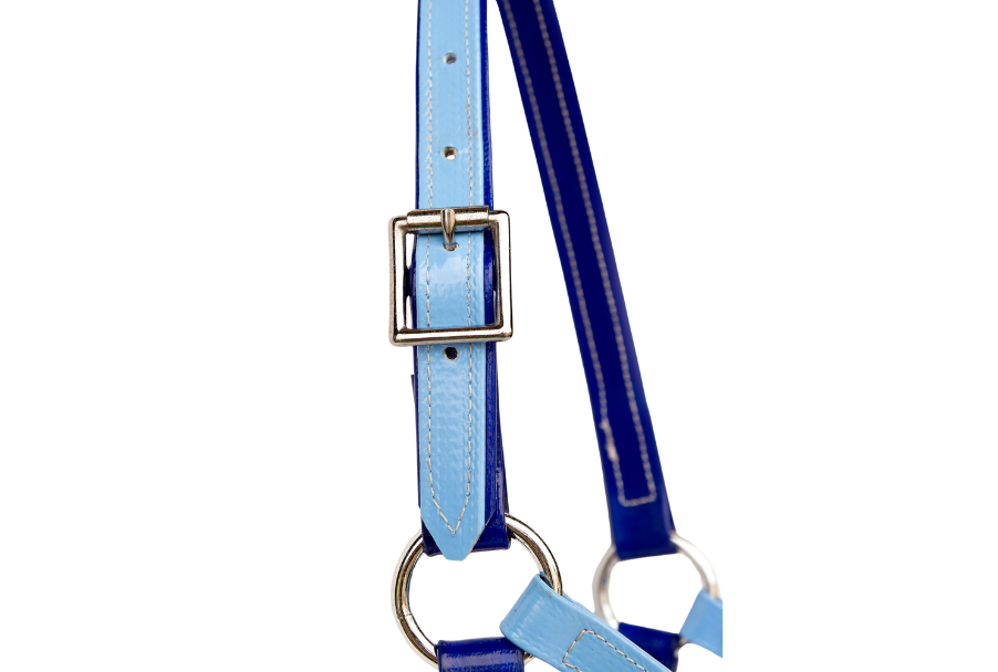 product-images saddlery-and-harnesses head-stalls head-stall-10