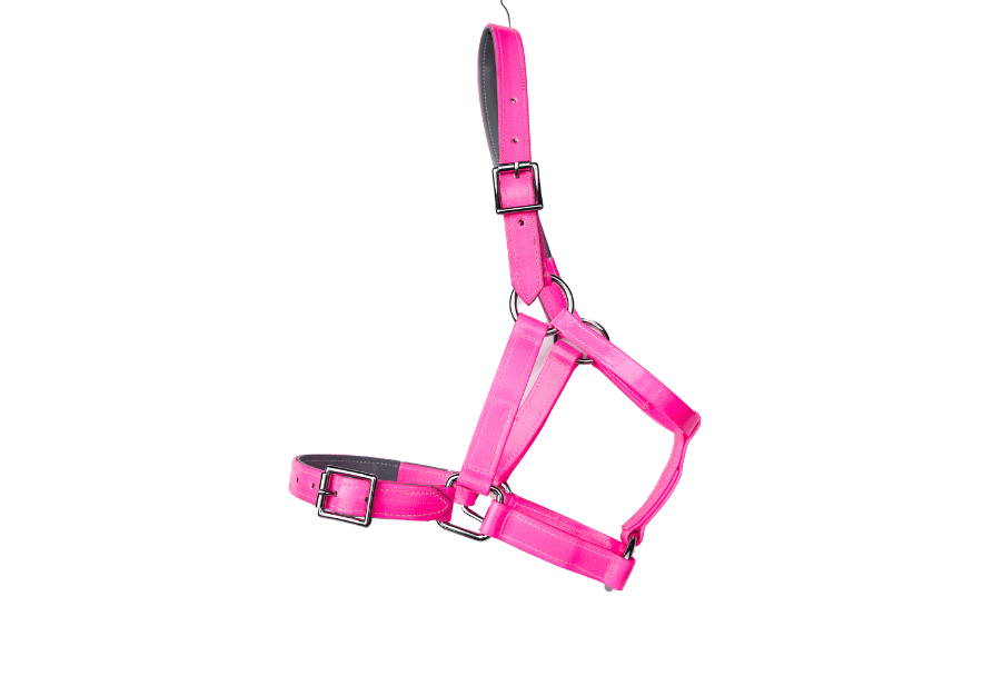 product-images saddlery-and-harnesses head-stalls head-stall-12