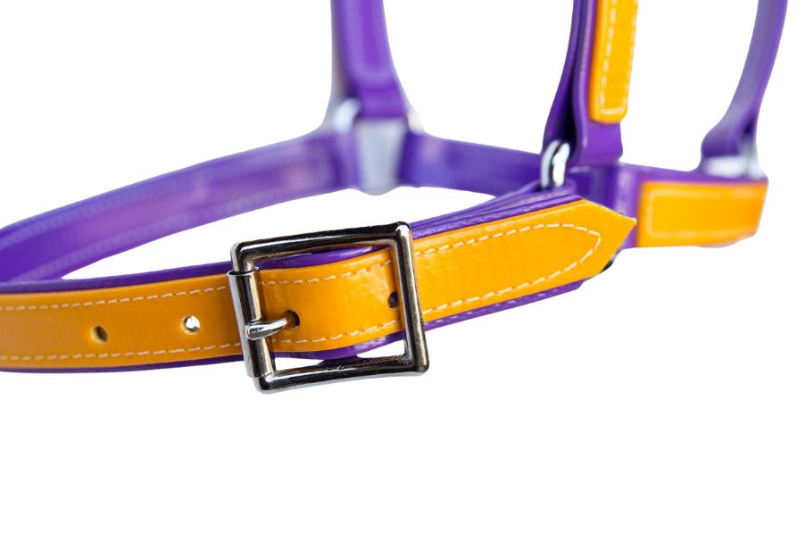 product-images saddlery-and-harnesses head-stalls head-stall-17