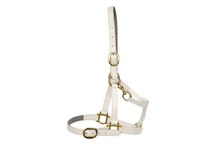 product-images saddlery-and-harnesses head-stalls head-stall-2