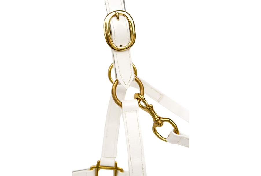 product-images saddlery-and-harnesses head-stalls head-stall-4