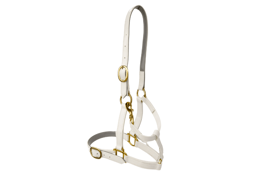 product-images saddlery-and-harnesses head-stalls head-stall-5