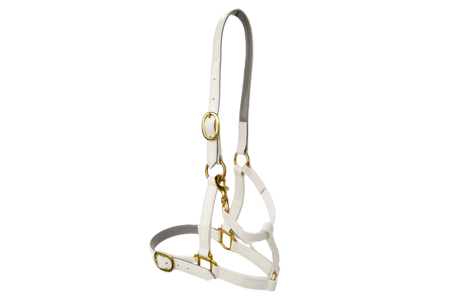 product-images saddlery-and-harnesses head-stalls head-stall-5