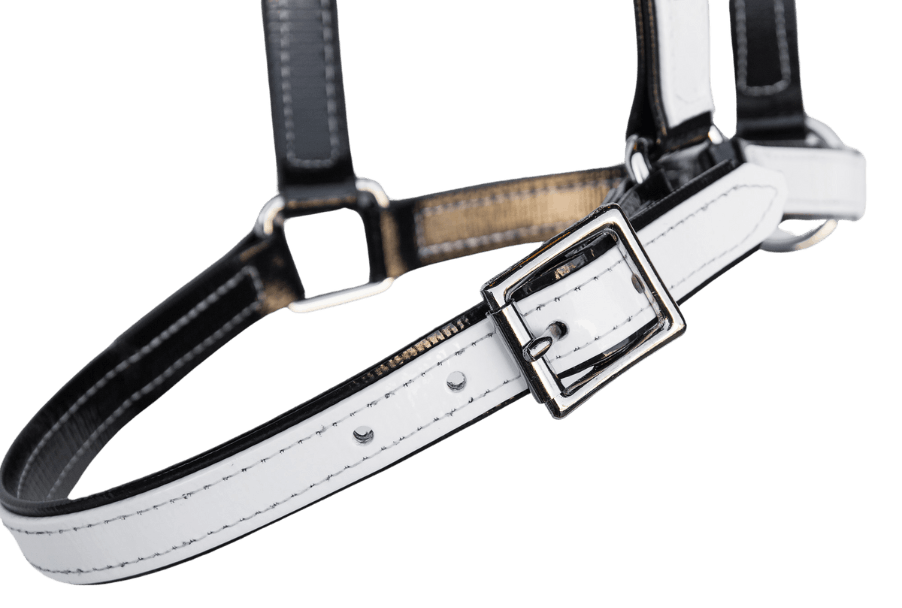 product-images saddlery-and-harnesses head-stalls head-stall-9