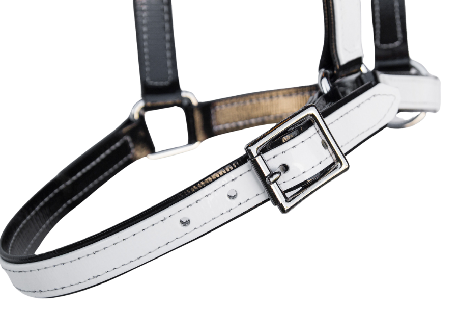 product-images saddlery-and-harnesses head-stalls head-stall-9