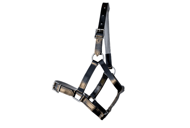 product-images saddlery-and-harnesses head-stalls headstall-1