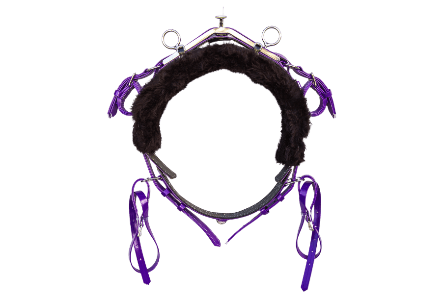 product-images saddlery-and-harnesses mini-trot-harness mini-trot-harness-purple-1