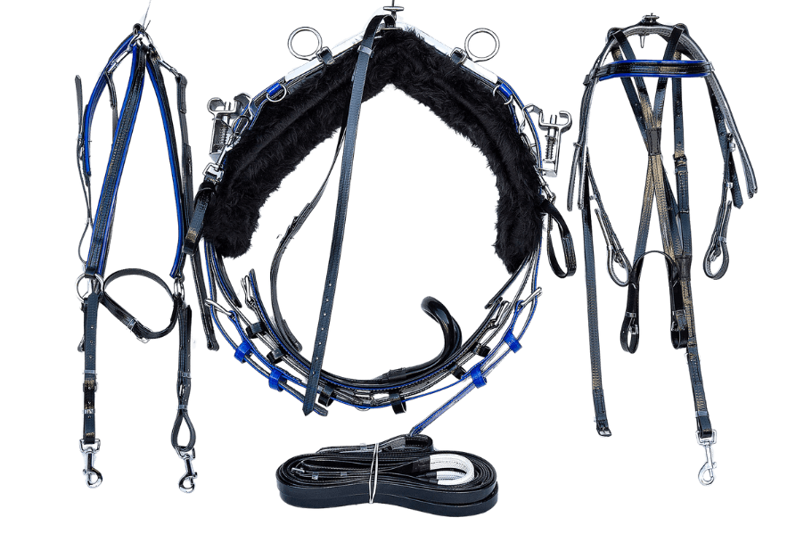 product-images saddlery-and-harnesses trotting-harness trotting-harness-blue-1