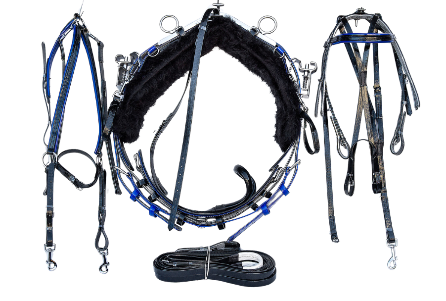 product-images saddlery-and-harnesses trotting-harness trotting-harness-blue-1