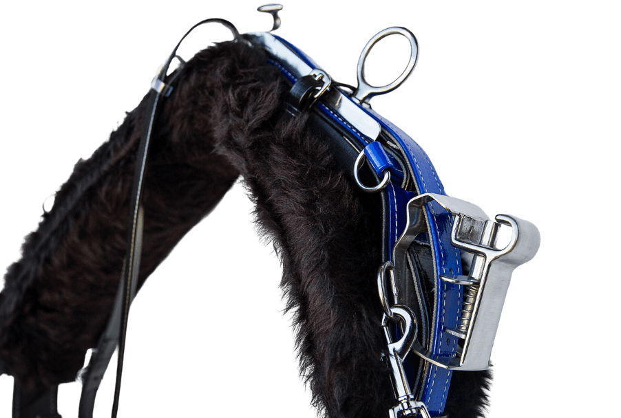 product-images saddlery-and-harnesses trotting-harness trotting-harness-blue-2