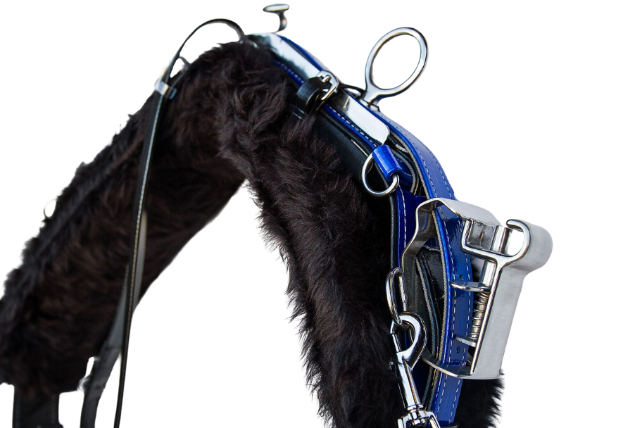 product-images saddlery-and-harnesses trotting-harness trotting-harness-blue-2