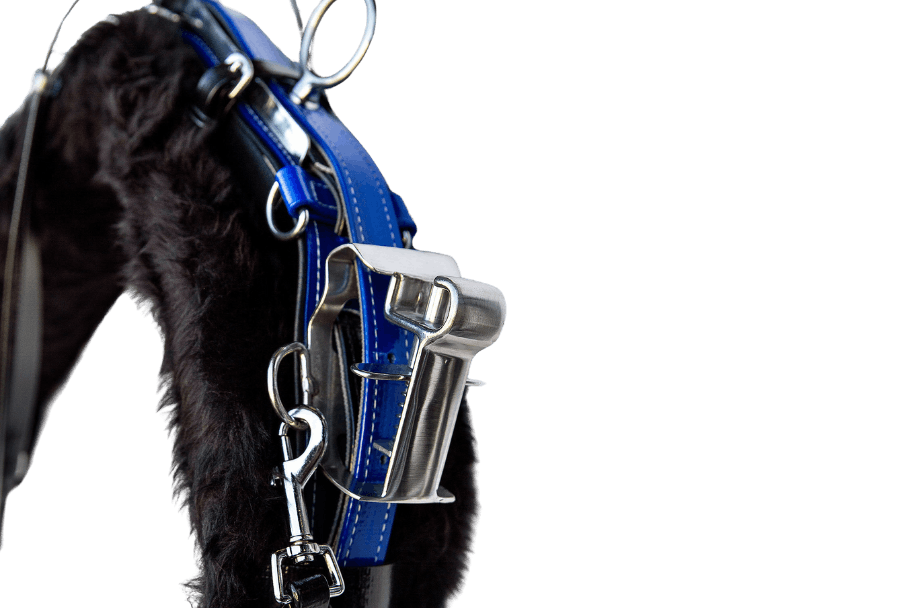 product-images saddlery-and-harnesses trotting-harness trotting-harness-blue-3