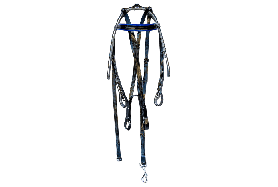 product-images saddlery-and-harnesses trotting-harness trotting-harness-blue-and-black-1