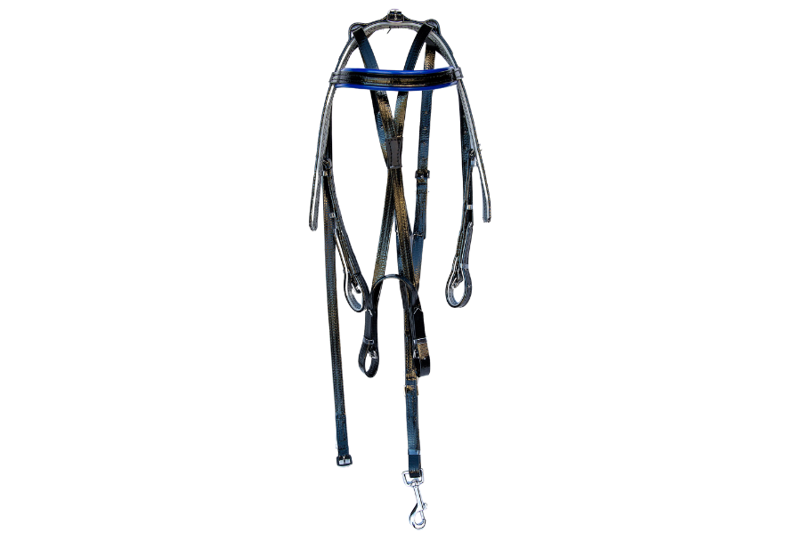 product-images saddlery-and-harnesses trotting-harness trotting-harness-blue-and-black-1